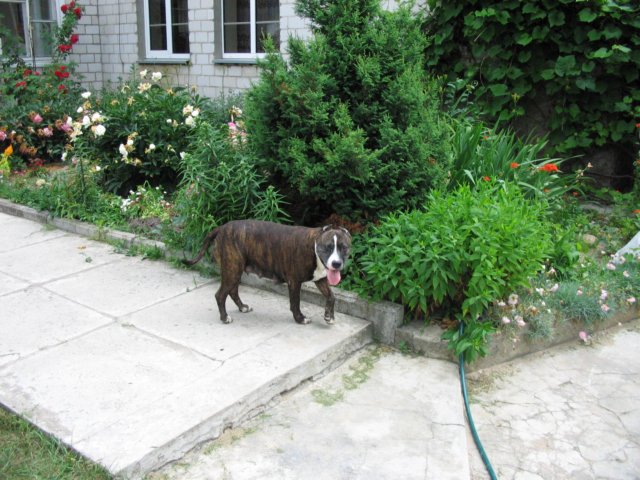 photo11.jpg