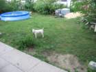 photo14_small.jpg