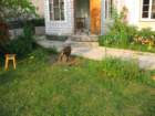 photo17_small.jpg