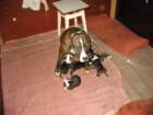 photo21_small.jpg