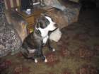 photo7_small.jpg