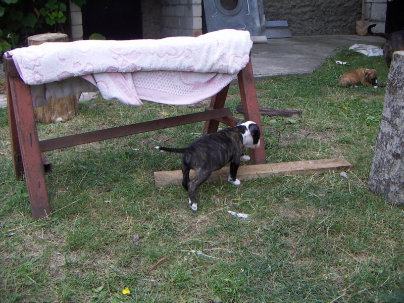 pict0153.jpg