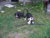 pict0154_small.jpg