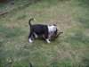 pict0168_small.jpg