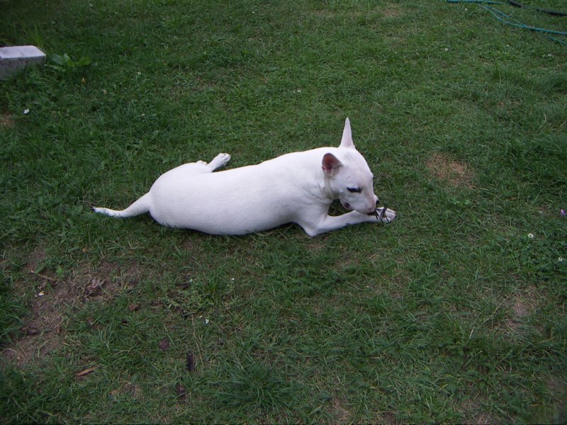 pict0169.jpg