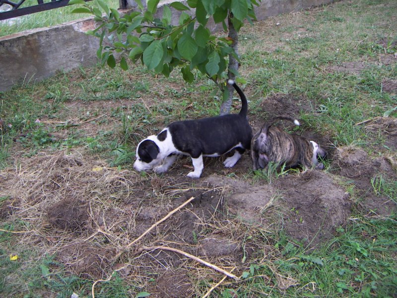 pict0173.jpg