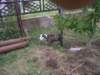 pict0174_small.jpg