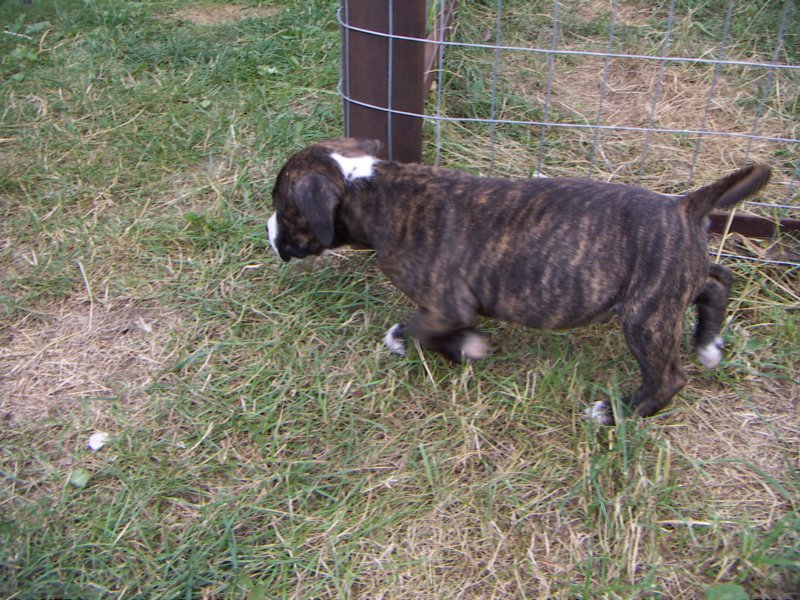pict0178.jpg