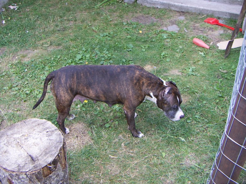 pict0180.jpg