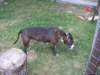 pict0180_small.jpg