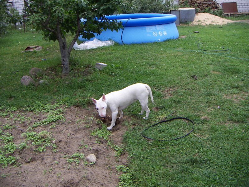pict0183.jpg