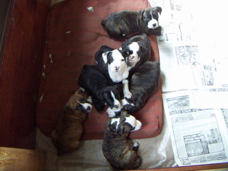 pict0193.jpg