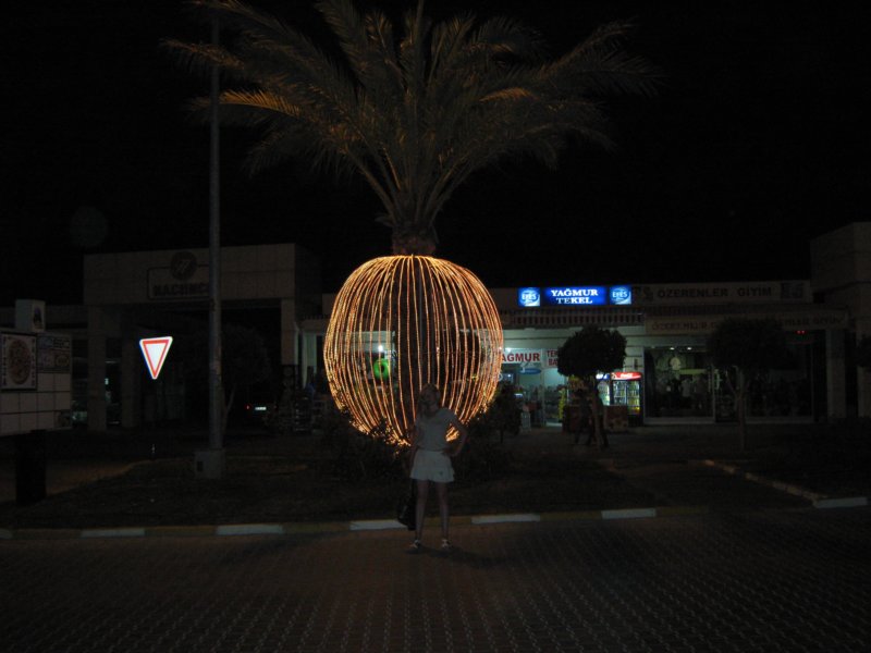 img_1180.jpg
