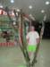 img_1273_small.jpg