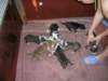 dscn2708_small.jpg