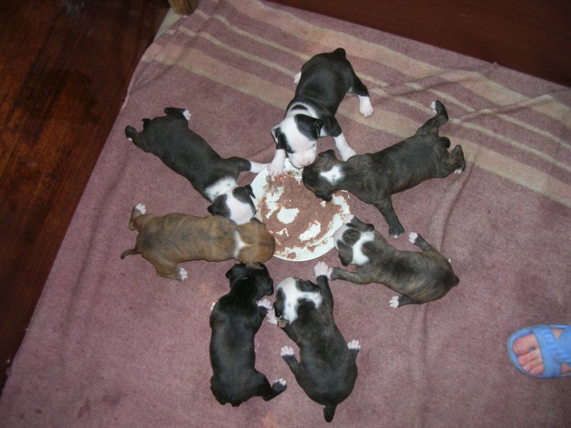 dscn2709.jpg