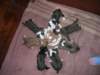 dscn2709_small.jpg