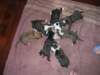 dscn2710_small.jpg