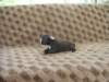dscn2712_small.jpg