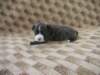 dscn2713_small.jpg