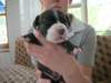 dscn2715_small.jpg