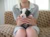 dscn2717_small.jpg
