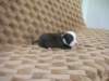 dscn2718_small.jpg