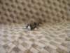 dscn2724_small.jpg