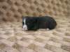 dscn2728_small.jpg