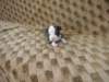 dscn2730_small.jpg