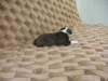dscn2731_small.jpg