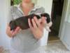 dscn2732_small.jpg
