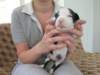 dscn2734_small.jpg
