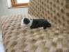 dscn2738_small.jpg