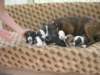 dscn2739_small.jpg