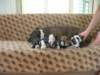 dscn2740_small.jpg