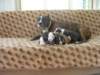 dscn2741_small.jpg